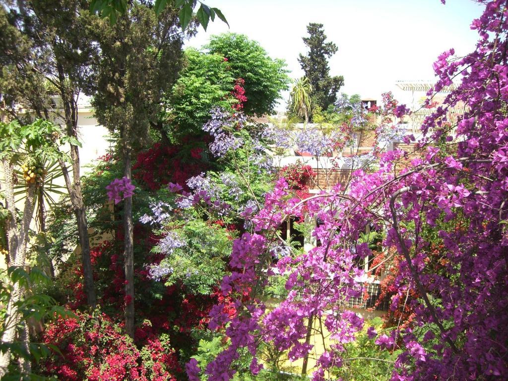 Riad Malika Marrakesh Exterior foto